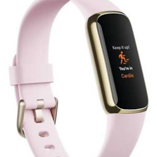 Fitbit luxe Guide